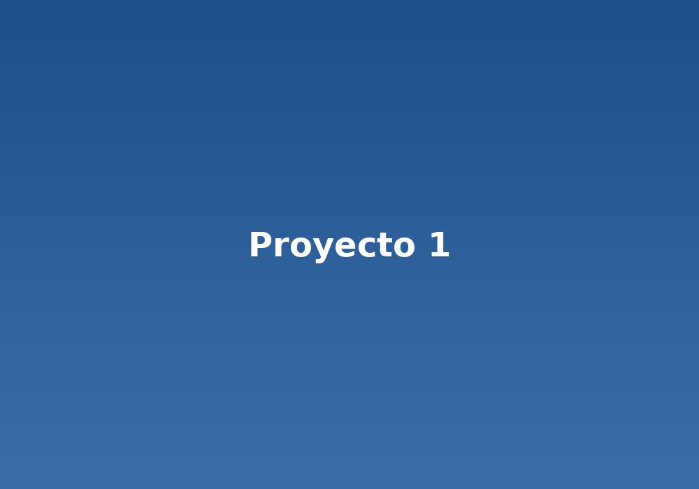 Proyecto 1